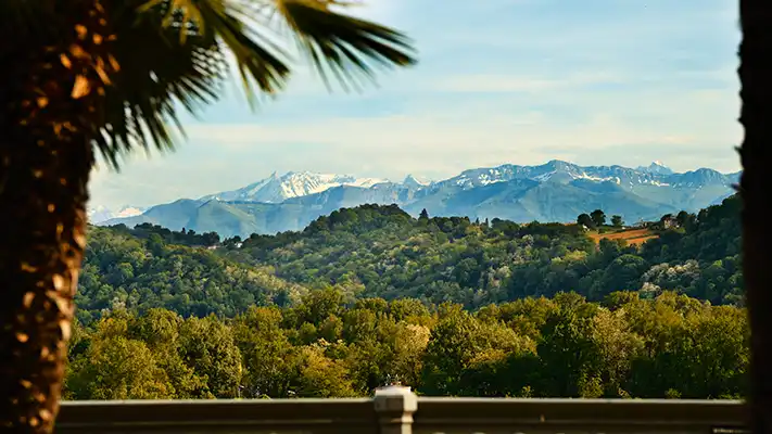 You are currently viewing Boulevard des Pyrénées – Office de Tourisme Pau