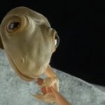 Faut-il oser la différence en vidéo ?