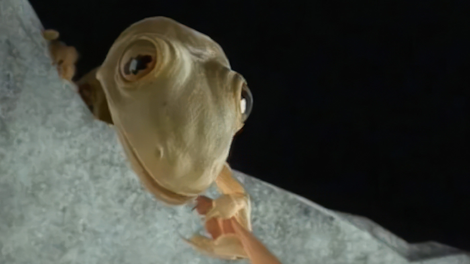 Lire la suite à propos de l’article Faut-il oser la différence en vidéo ?